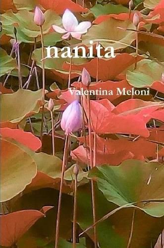 Cover image for nanita