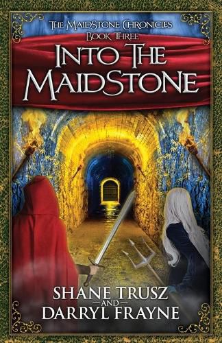 Cover image for Into the Maidstone