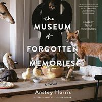 Cover image for The Museum of Forgotten Memories