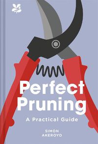 Cover image for Perfect Pruning