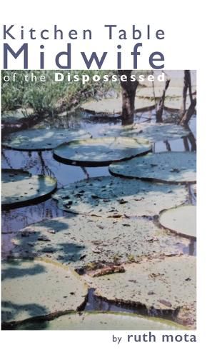 Cover image for Kitchen Table Midwife of the Dispossessed
