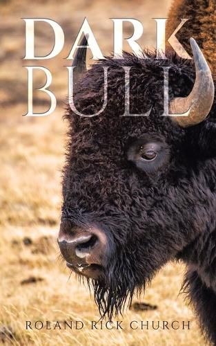 Cover image for Dark Bull