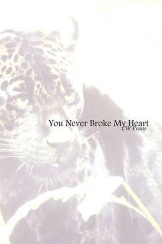 Cover image for You Never Broke My Heart