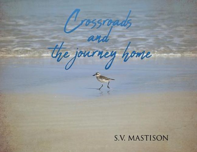 Cover image for Crossroads, and the journey home