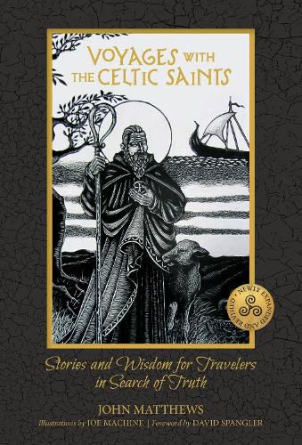 Cover image for Voyages with the Celtic Saints