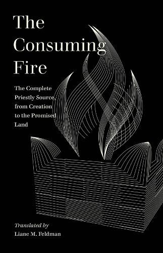 Cover image for The Consuming Fire