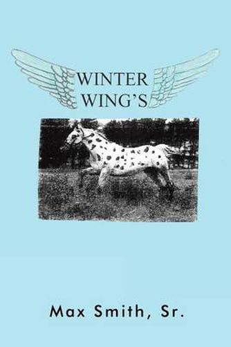 Cover image for Winter Wings