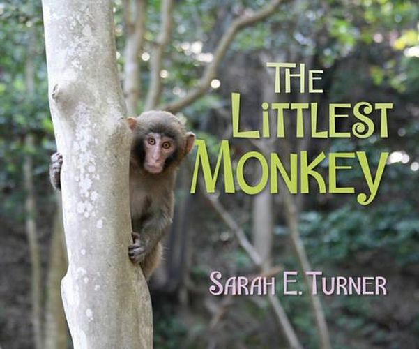 The Littlest Monkey