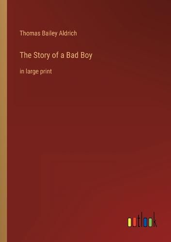 Cover image for The Story of a Bad Boy