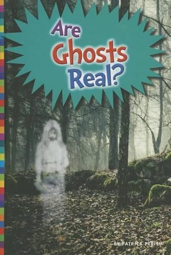 Cover image for Are Ghosts Real?