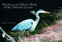 Cover image for Wading and Shore Birds of the Atlantic Coast