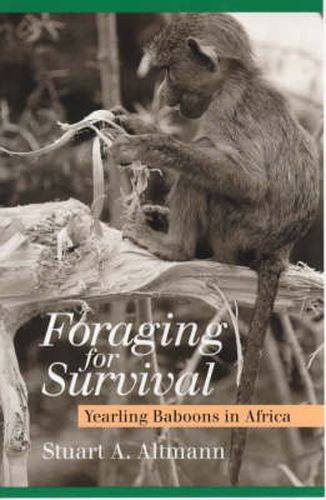 Cover image for Foraging for Survival: Yearling Baboons in Africa