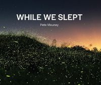 Cover image for While We Slept