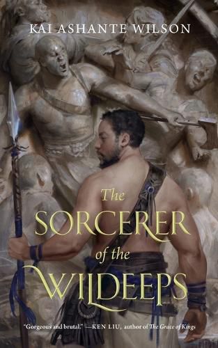 Cover image for The Sorcerer of the Wildeeps