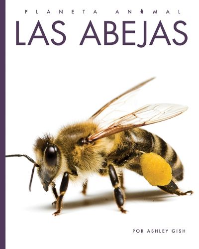 Cover image for Las Abejas