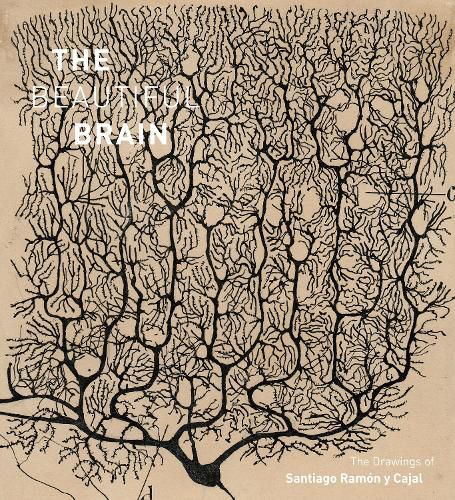 Cover image for The Beautiful Brain: The Drawings of Santiago Ramon y Cajal