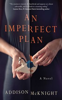 Cover image for An Imperfect Plan: A Novel