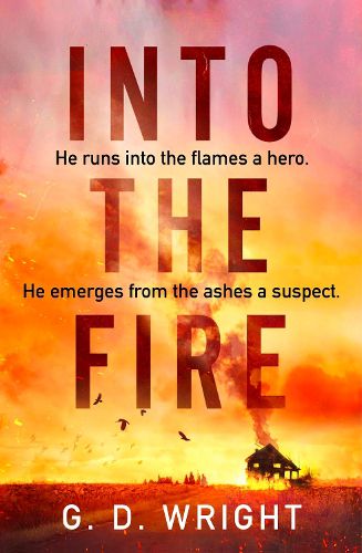 Cover image for Into the Fire