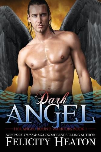 Cover image for Dark Angel