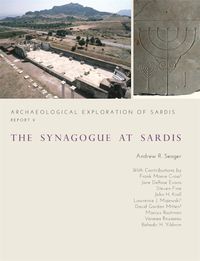 Cover image for The Synagogue at Sardis