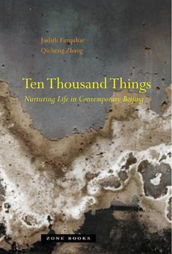 Cover image for Ten Thousand Things: Nurturing Life in Contemporary Beijing