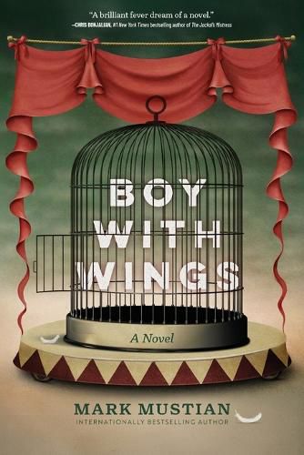 Cover image for Boy With Wings
