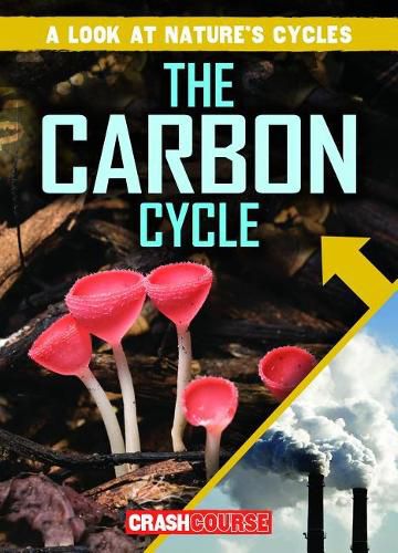 The Carbon Cycle