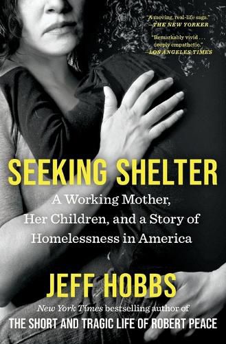 Cover image for Seeking Shelter
