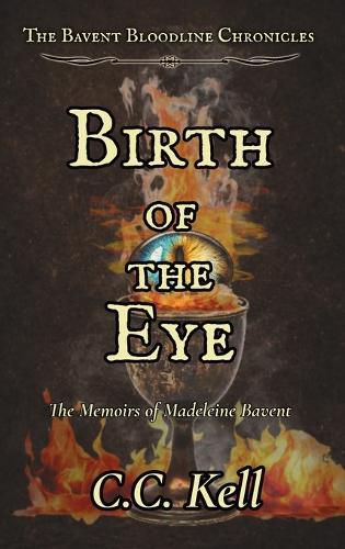 Cover image for Birth of the Eye