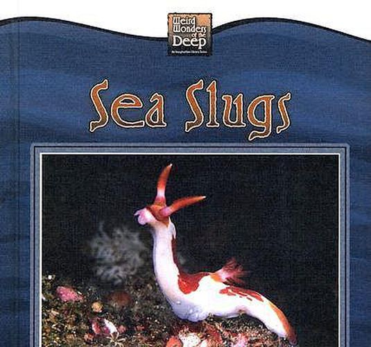 Cover image for Sea Slugs