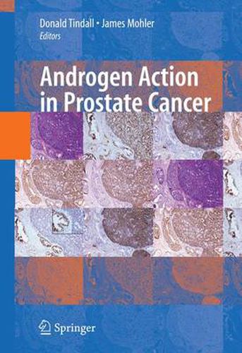 Cover image for Androgen Action in Prostate Cancer