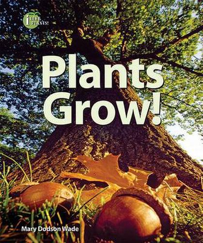 Cover image for Plants Grow!