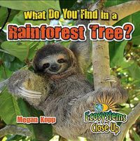 Cover image for What Do You Find in a Rainforest Tree?