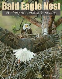Cover image for Bald Eagle Nest: A Story of Survival in Photos