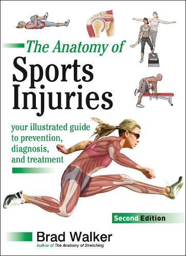 Cover image for The Anatomy of Sports Injuries