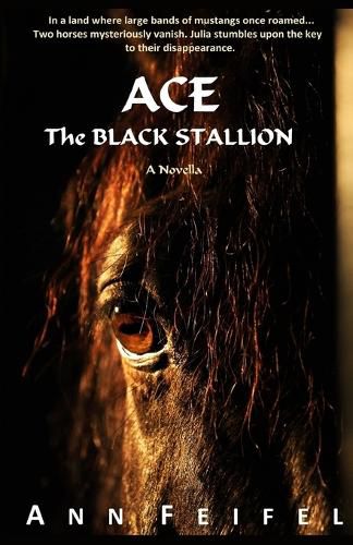 Cover image for Ace, The Black Stallion