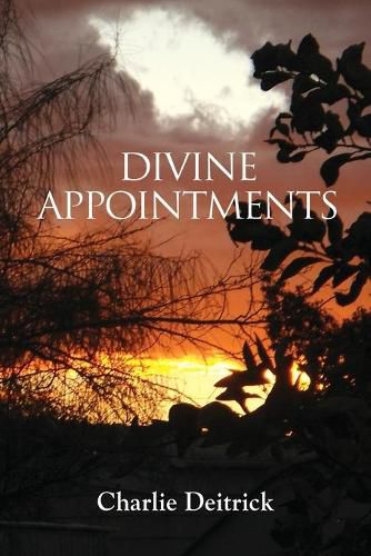 Cover image for Divine Appointments