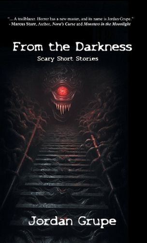 Cover image for From the Darkness