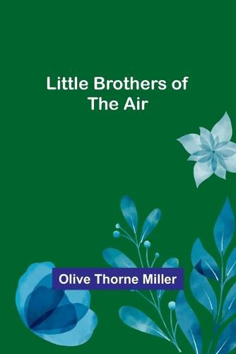 Little Brothers of the Air