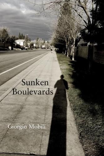 Cover image for Sunken Boulevards