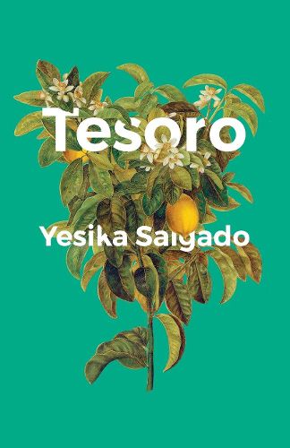 Cover image for Tesoro