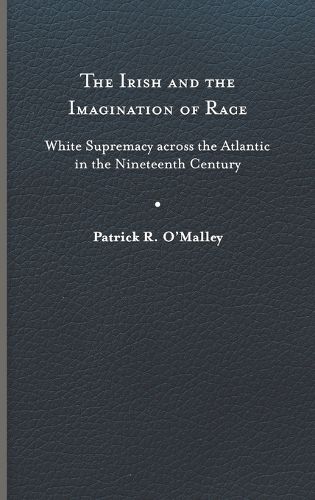 Cover image for The Irish and the Imagination of Race