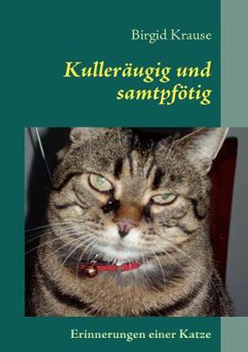 Cover image for Kulleraugig und samtpfoetig: Erinnerungen einer Katze