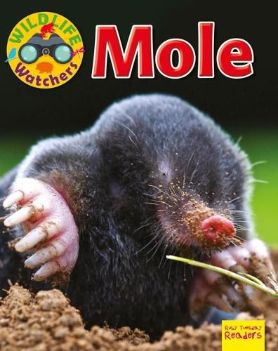 Cover image for Mole