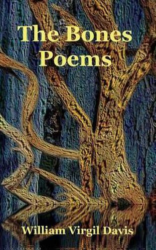 Cover image for The Bones Poems