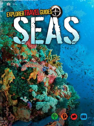 Cover image for Seas