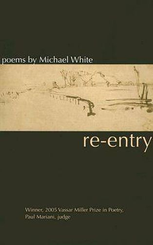 Cover image for Re-entry