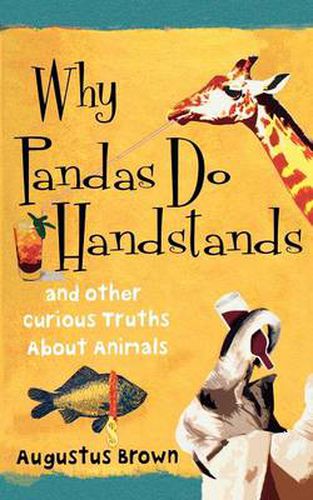 Cover image for Why Pandas Do Handstands: And Other Curious Truths About Animals