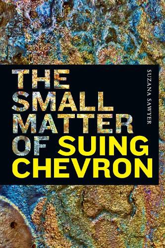 Cover image for The Small Matter of Suing Chevron