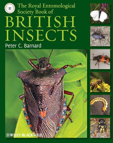 Cover image for The Royal Entomological Society Book of British Insects